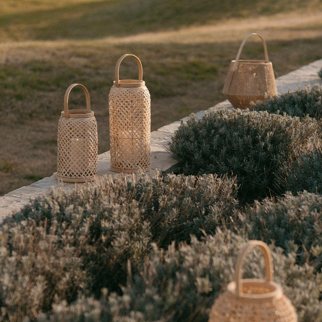 Bamboo Lantern