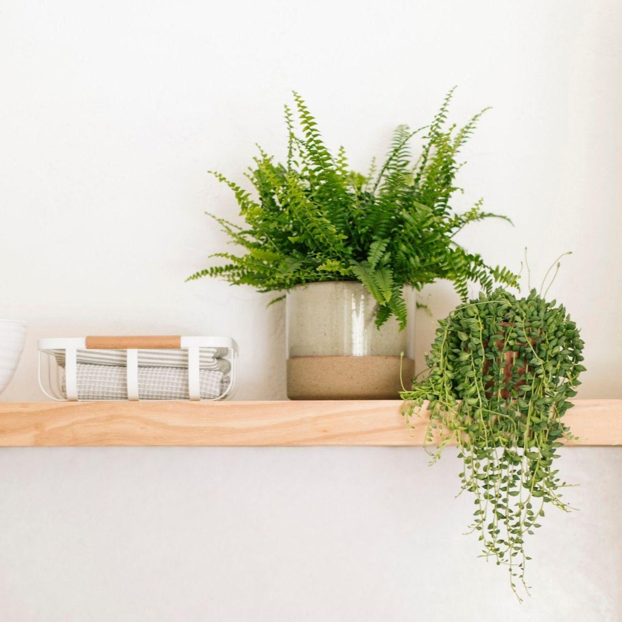 Beige Ceramic Flower Pot