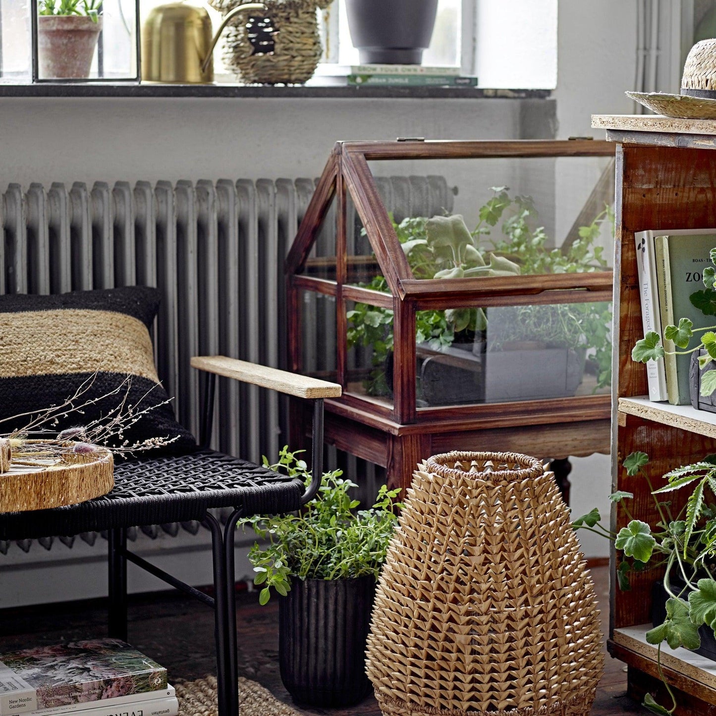 Exhibitor Wood Cabinet