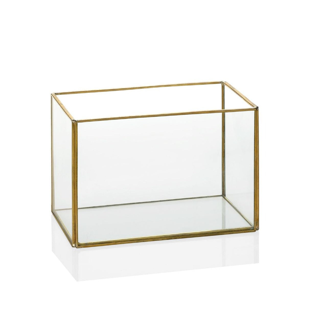 Gold Metal Terrarium