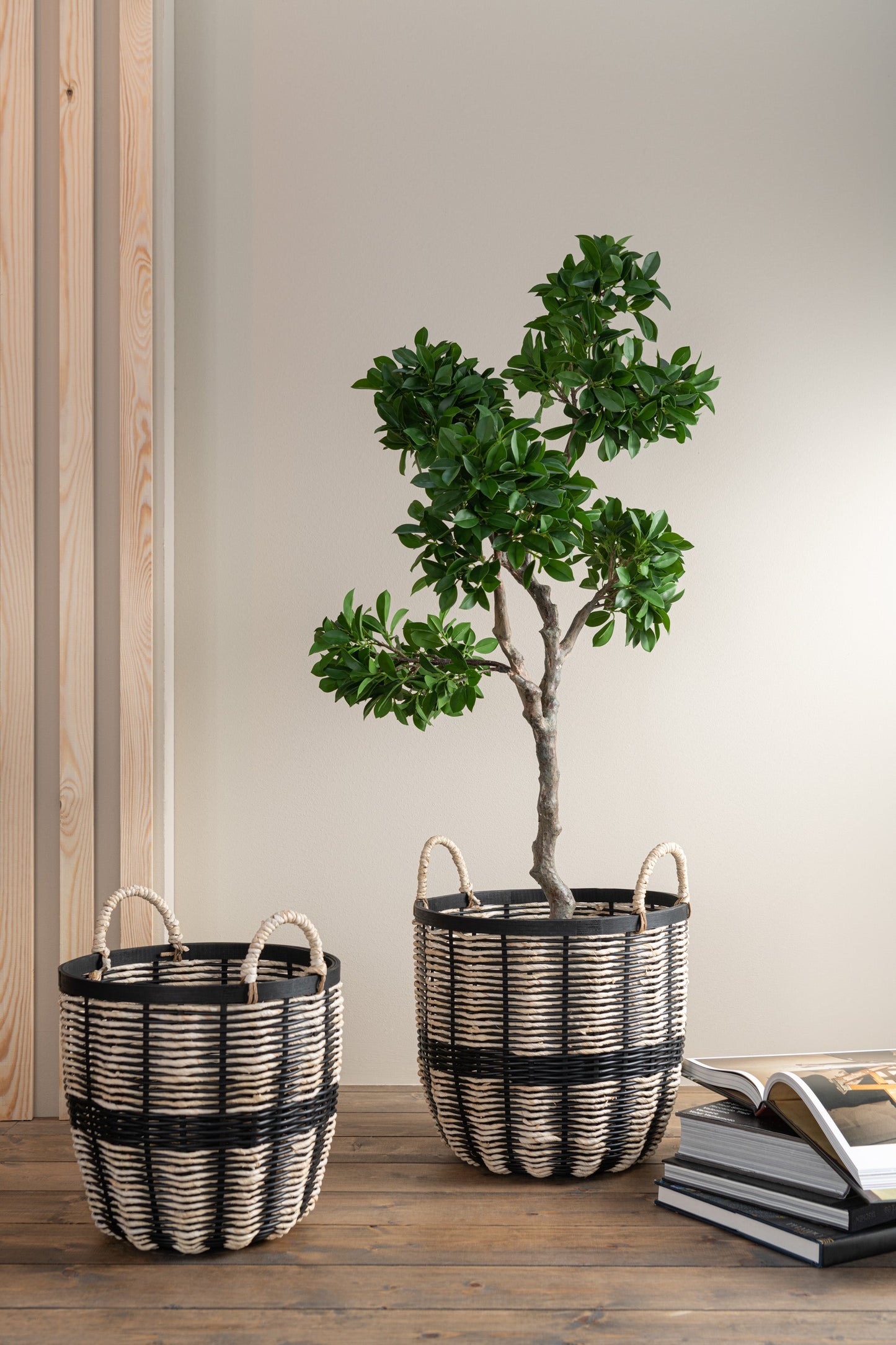 Green PVC Ginseng Ficus Tree W/ Flower Pot