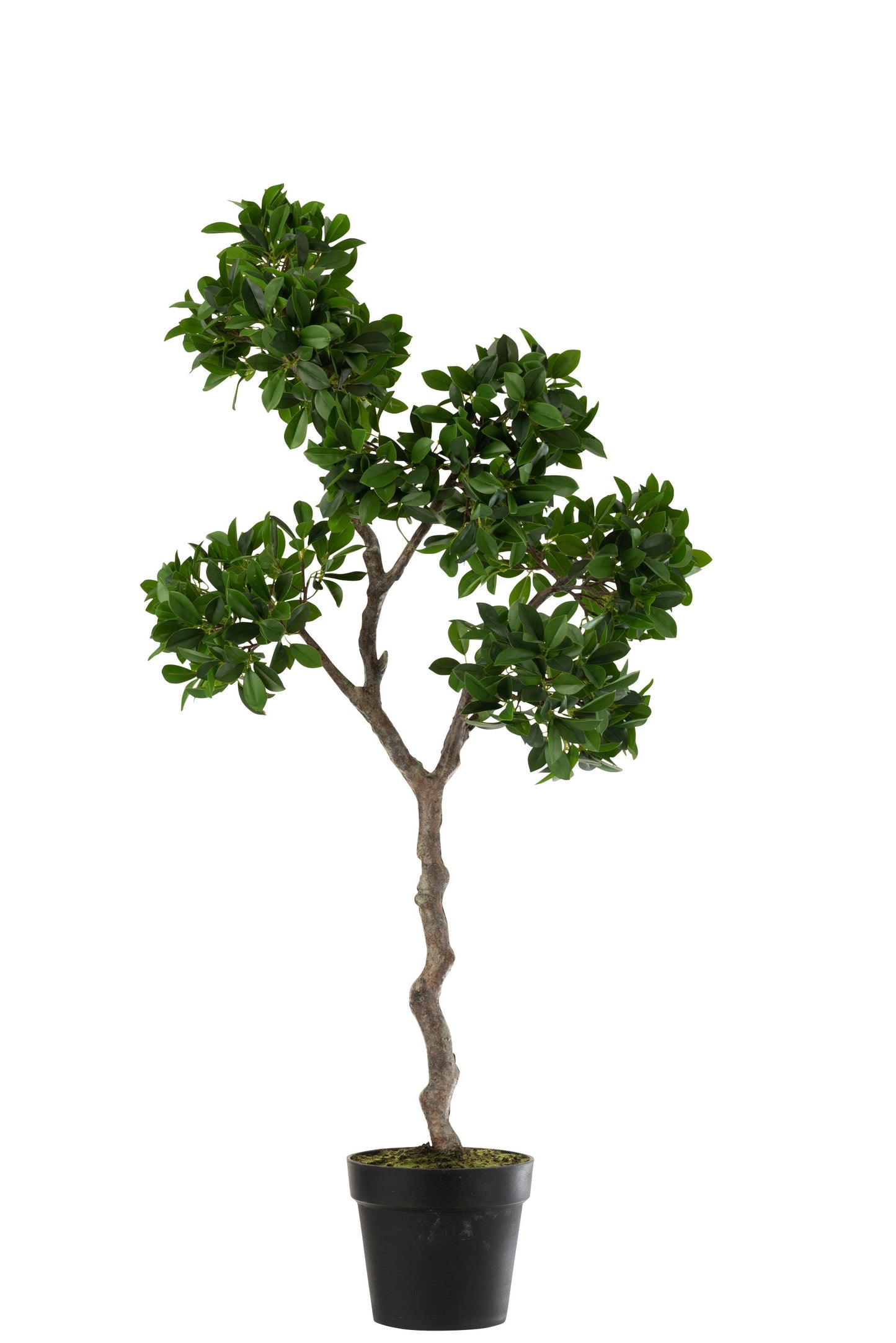 Green PVC Ginseng Ficus Tree W/ Flower Pot