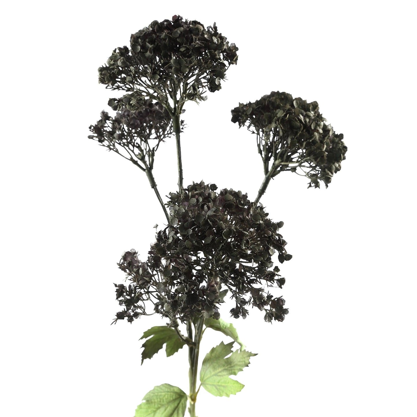 Green PVC Guelder Rose