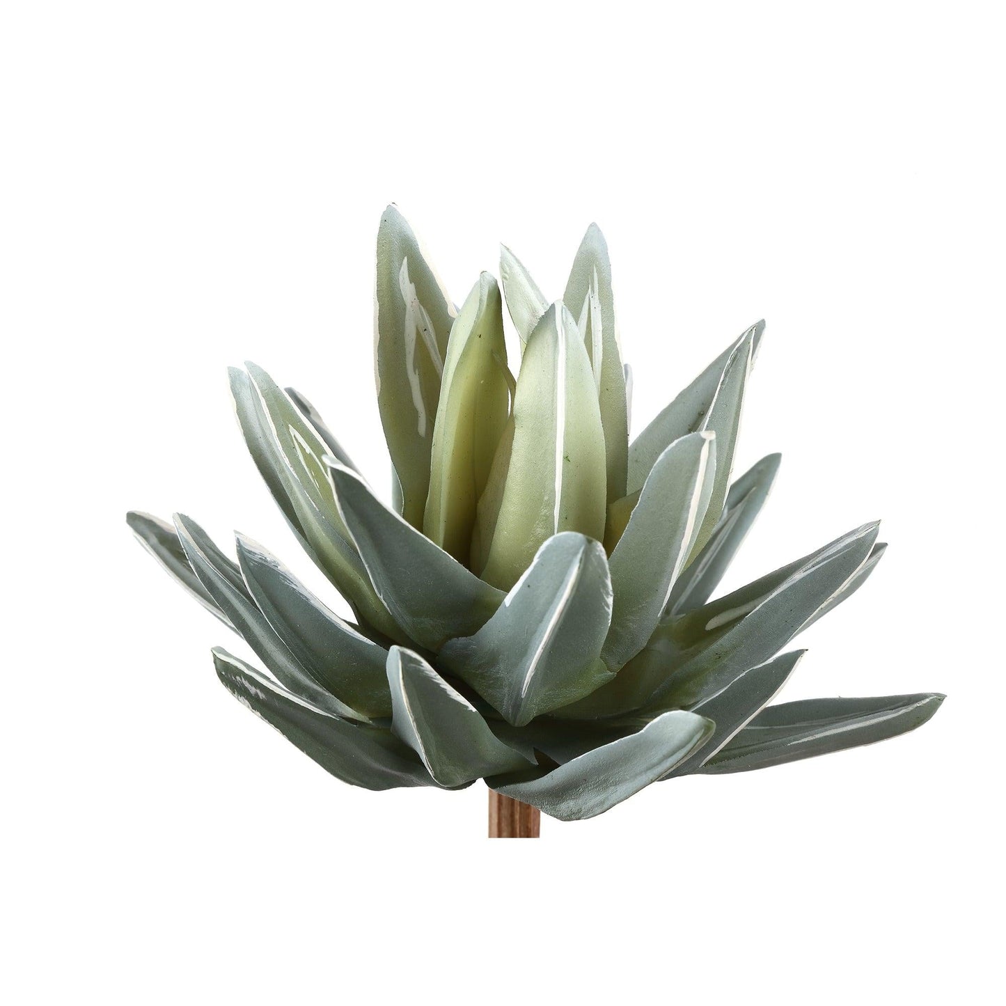 Green PVC Succulent Aloe