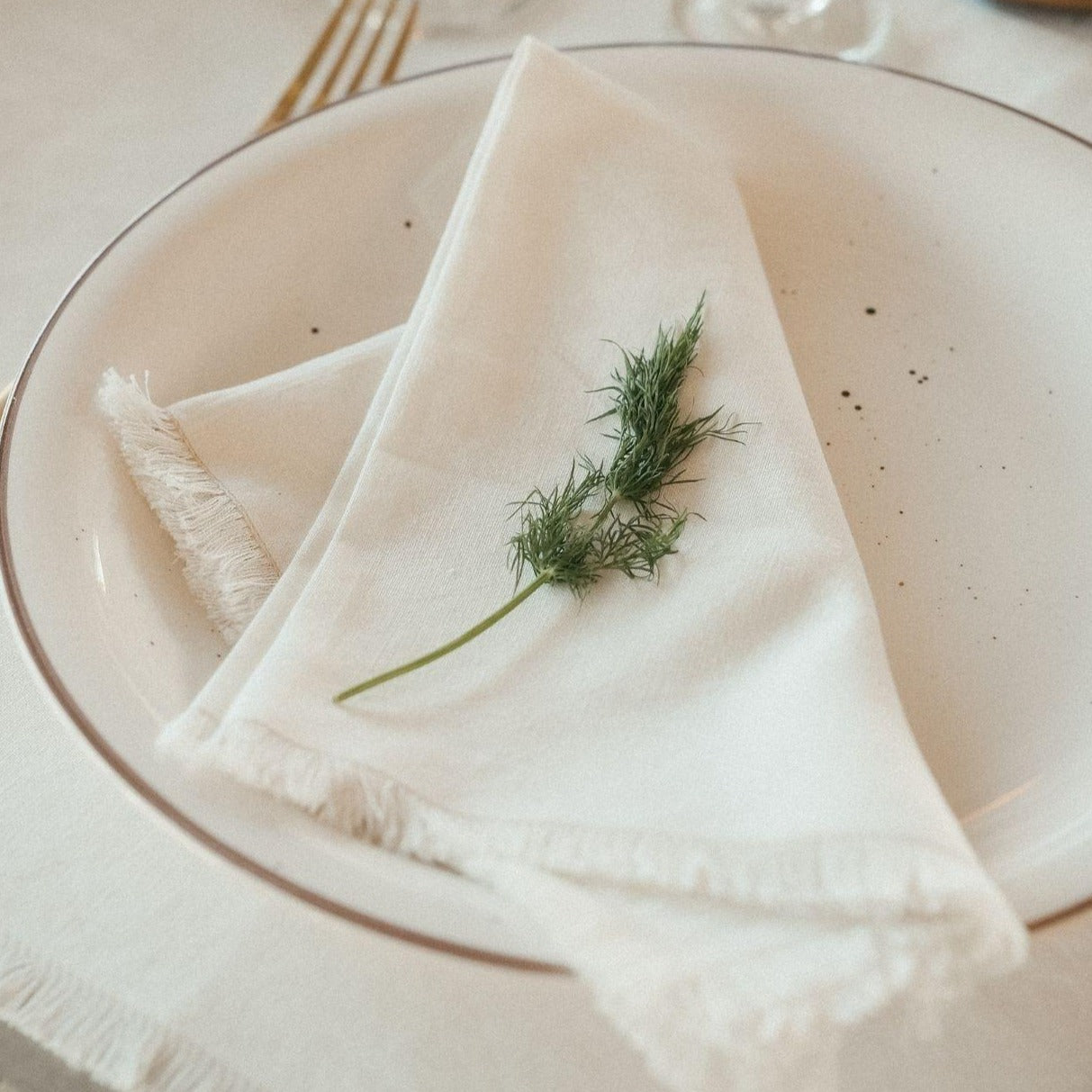 Linen Napkins Set (x2)