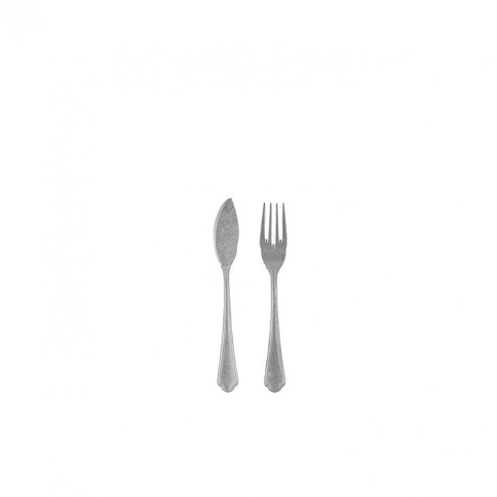 Matte Stainless Iron Fish Cutlery Set (x12)
