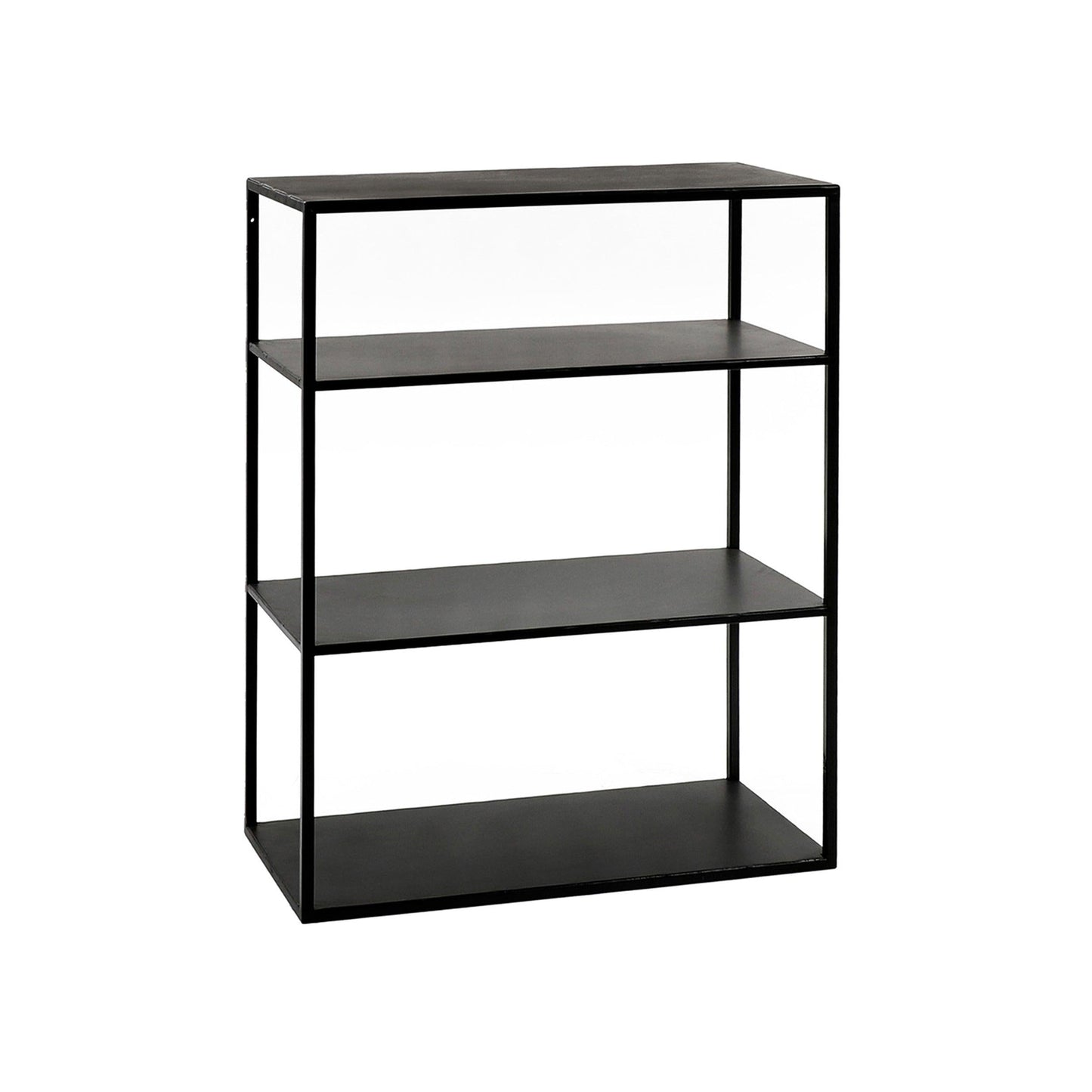 Metal Cabinet W/Shelves