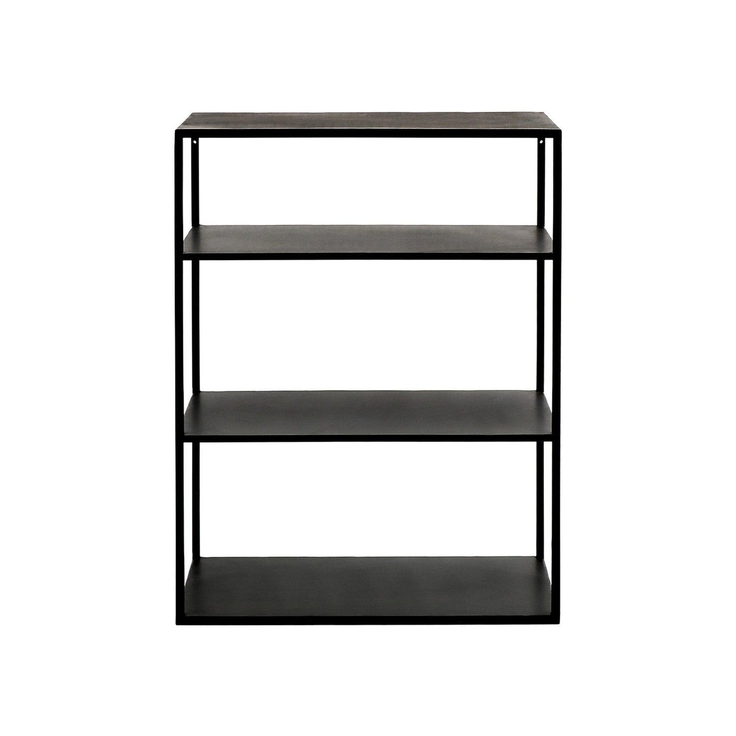 Metal Cabinet W/Shelves