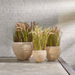 Nature Ceramic Flower Pot Set (x3)