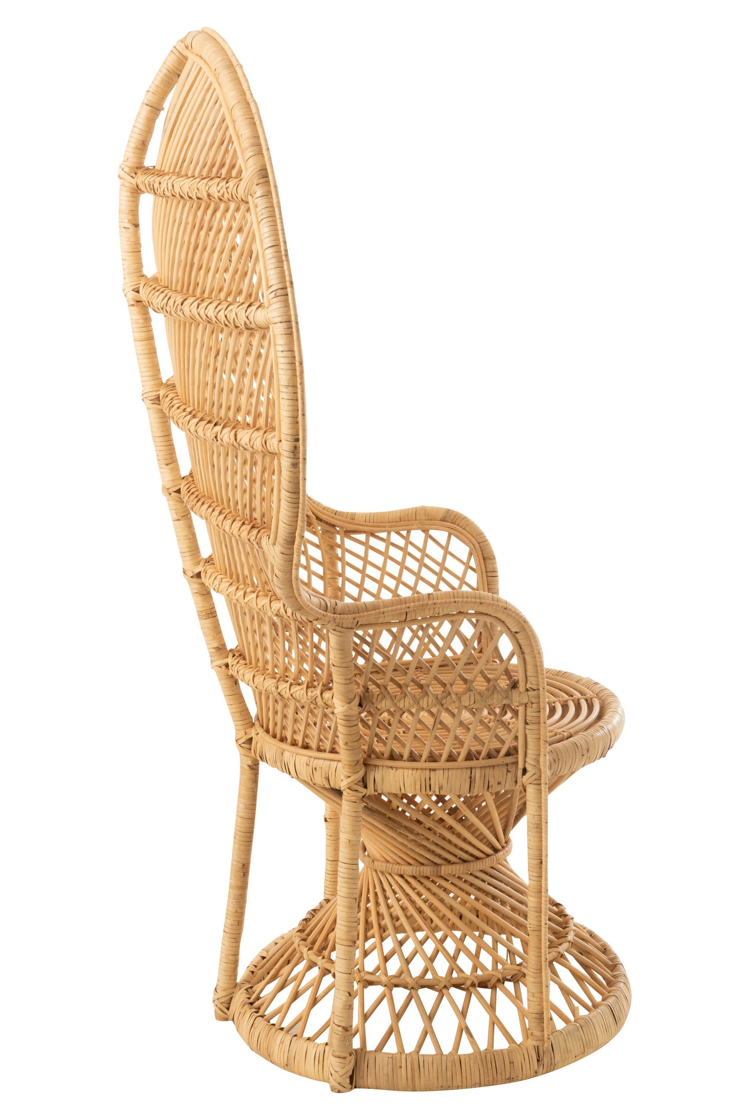 Nature Rattan Armchair W/ Cushion