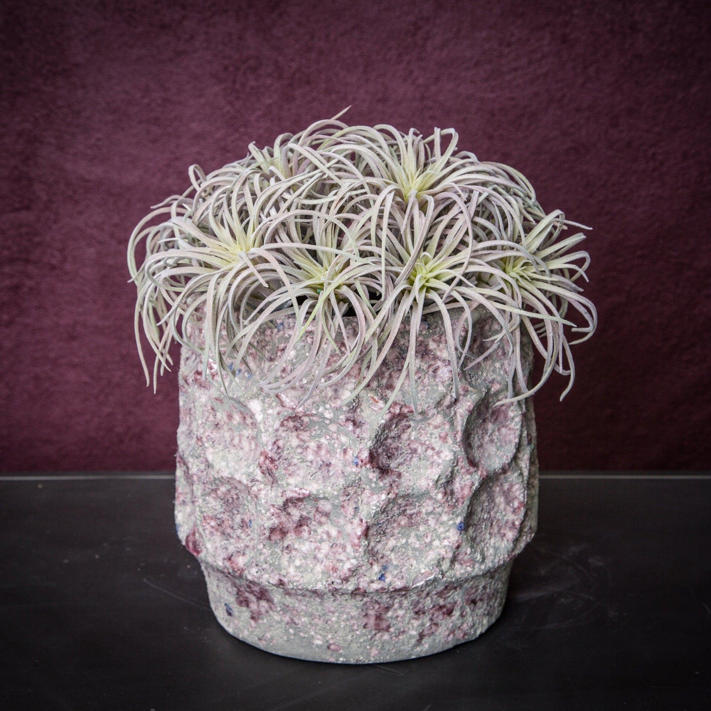 Pink PVC Succulent Flock Tillandsia Pick