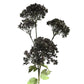 Green PVC Guelder Rose