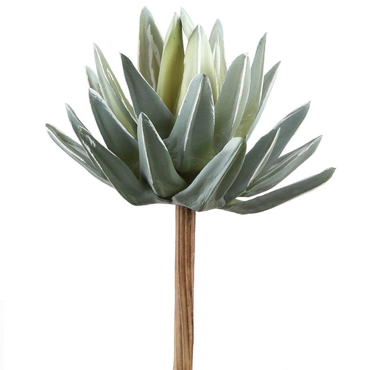 Green PVC Succulent Aloe