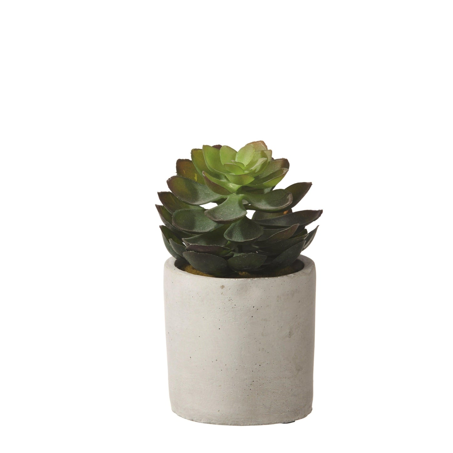 Green PVC Succulent W/ Flower Pot