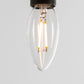 Light Bulb W/LED